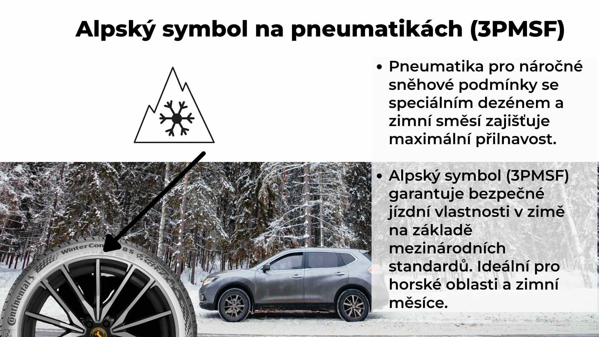 Symbol sněhové vločky v trojvrcholové hoře (3PMSF), který potvrzuje, že prošly testy a splňují minimální požadavky na zimní provoz.