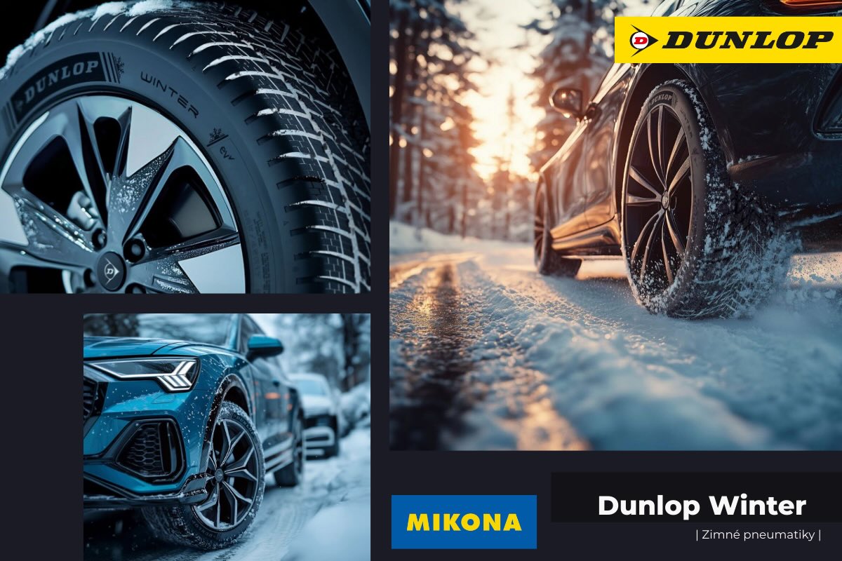 Zimné pneumatiky Dunlop WINTER sú navrhnuté pre moderných vodičov, ktorí očakávajú maximálnu bezpečnosť, nízky hluk a výkon aj v najnáročnejších zimných podmienkach.