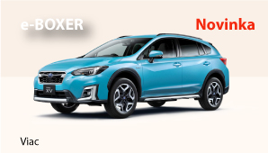 e-Boxer