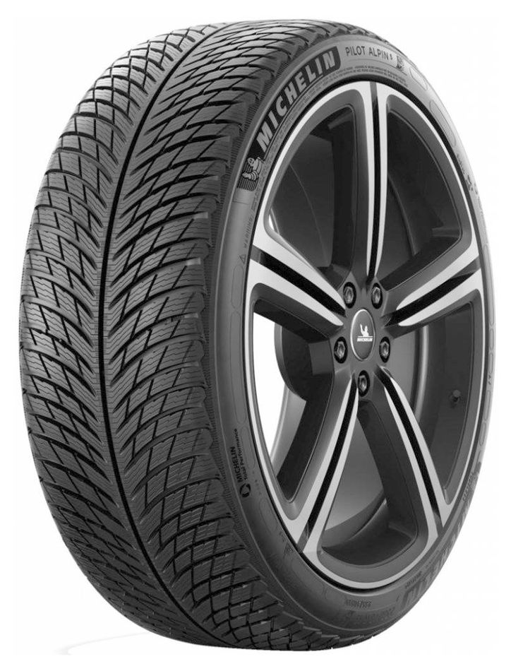 Michelin PILOT ALPIN 5 315/30 R21 105 V Zimné Michelin PILOT ALPIN 5 315/30 R21 105 V Zimné