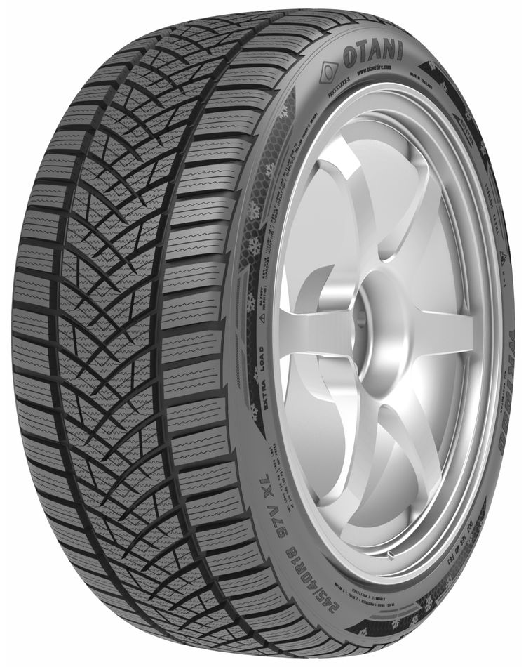 OTANI WK1000 205/55 R16 91 H Zimné